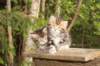 img_3621_small.jpg