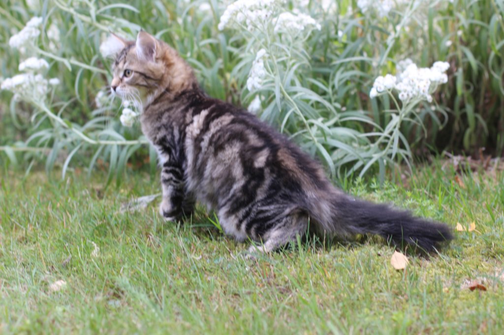 phebegirl13weeks11840.jpg