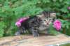 philadelphia1month13612_small.jpg