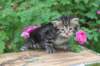 philadelphia1month13613_small.jpg
