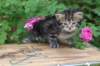 philadelphia1month13614_small.jpg