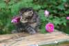 philadelphia1month13619_small.jpg