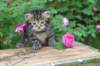 philadelphia1month13621_small.jpg