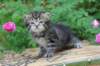 philadelphia1month1364_small.jpg