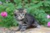 philadelphia1month1365_small.jpg