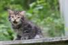 philadelphia6weeks24610_small.jpg