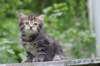 philadelphia6weeks24611_small.jpg