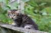 philadelphia6weeks24615_small.jpg