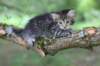 philadelphia6weeks24616_small.jpg
