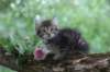 philadelphia8philadelphia8weeks13_small.jpg