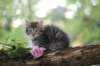philadelphia8philadelphia8weeks55_small.jpg