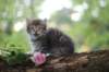philadelphia8philadelphia8weeks56_small.jpg