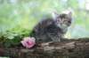 philadelphia8philadelphia8weeks67_small.jpg