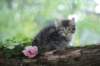 philadelphia8philadelphia8weeks79_small.jpg