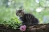 philadelphia8philadelphia8weeks90_small.jpg