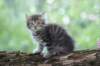 philadelphia8weeks_small.jpg