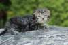philadelphiaimg_1352_small.jpg