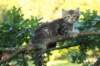 img_6000_small.jpg