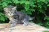 philippus1month19_small.jpg
