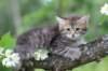 philippus8weeks43_small.jpg