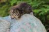 img_0239_small.jpg