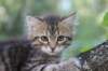 img_5690_small.jpg