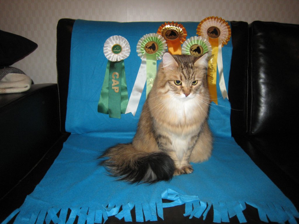 pramurinohanna1822012ja1922012keskistp17.jpg