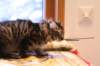 img_4156_small.jpg