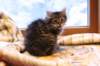 img_4161_small.jpg