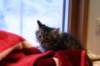 img_4166_small.jpg