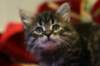 img_2540_small.jpg