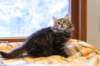 img_4279_small.jpg