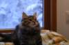 img_4282_small.jpg