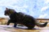 img_4286_small.jpg