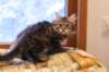 img_4289_small.jpg