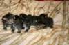 hereweare14_small.jpg