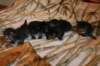 hereweare2_small.jpg
