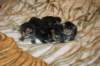 hereweare9_small.jpg