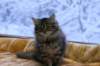 img_4120_small.jpg