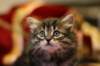 img_2572_small.jpg