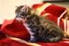 img_2573_small.jpg