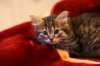 img_2350_small.jpg