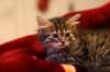 img_2355_small.jpg