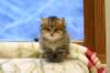 img_2766_small.jpg