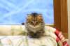 img_2767_small.jpg