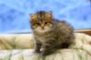 img_2770_small.jpg