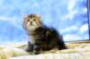 img_3568_small.jpg