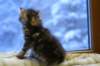 img_3570_small.jpg