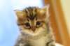 img_3173_small.jpg