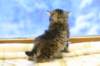 img_3022_small.jpg